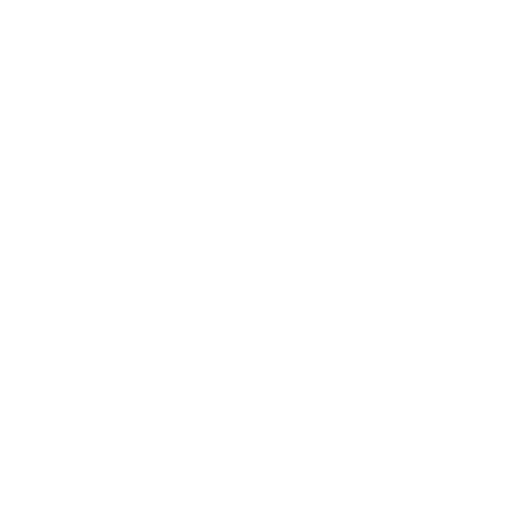 NBPHE logo